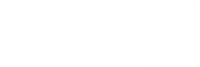Need for Spin Logo