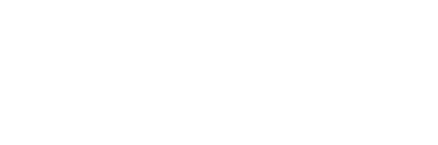 Need For Spin Need for Spin Logo